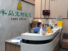 -半岛宠物医院24小时(科华中路店)
