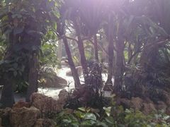 -南通洲际绿博园