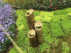 -深圳仙湖植物园
