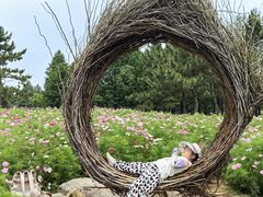 -羊亭河湿地公园