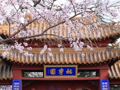 -桃花堤公园