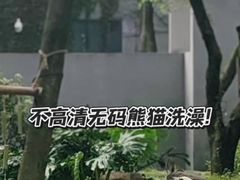 -柳州市动物园