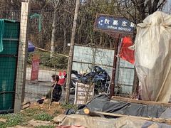 -白鹿原樱桃园