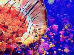 -海合安天津极地海洋公园