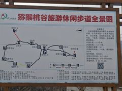 -大岭沟猕猴桃谷风景区