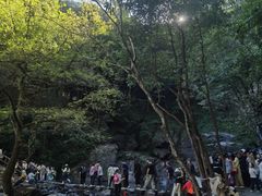 -石台牯牛降景区