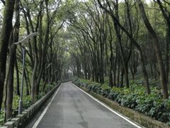 -上海市保健医疗中心(华东疗养院)