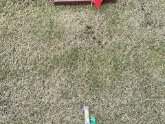 -上海市龙华烈士陵园