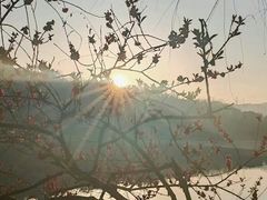 -重庆园博园