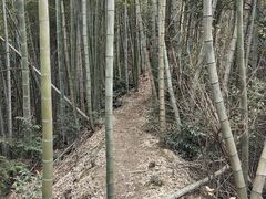 -安吉龙王山峡谷漂流