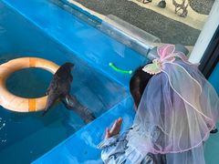-厦门海底世界