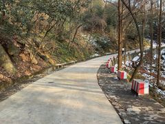 -波尔登森林公园