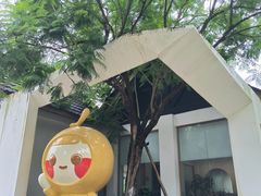 -张坝桂圆林公园