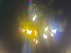 -郑州方特梦幻王国