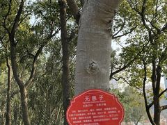 -黄兴公园