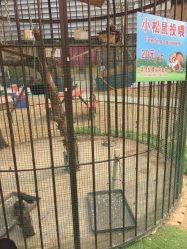 -萌宠亲子动物乐园(槐房万达店)