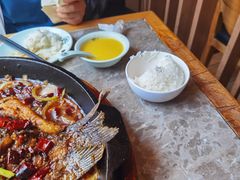 -老板恋上鱼(恒隆广场店)