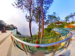 -铁山坪森林公园