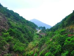 -清溪森林公园