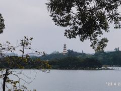 -黎记大排档(慈云路店)