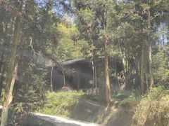 -紫鹊界梯田景区