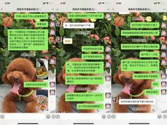 -天鹅到家·保姆月嫂育儿嫂(天河店)