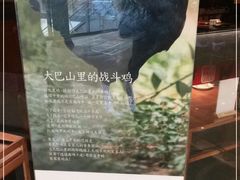 -黑鸡小馆(金源店)