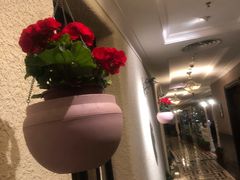 -东方明珠老上海8号餐厅