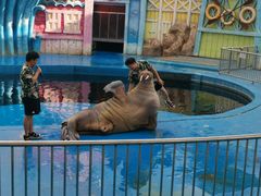 -华夏文旅海洋公园