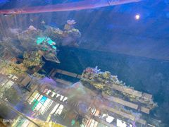 -暹罗酒肆泰餐厅酒吧