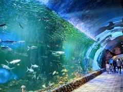 -华夏文旅海洋公园