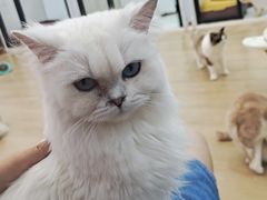 -1013 PET SHOP 宠物商店(近铁城市广场店)