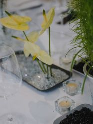-琥珀婚礼策划AMBER WEDDING