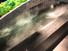 -湊湊火锅·茶憩(石家庄万象城店)