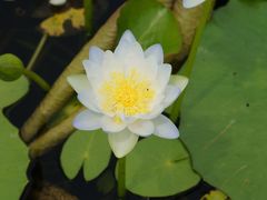 -华南国家植物园-售票处