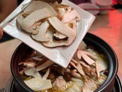 -蘑统田下·野生菌火锅