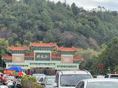 -神光山国家森林公园