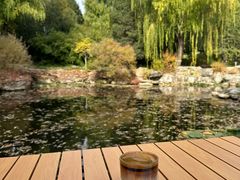 -三忘湖 SWANSEEN(柳荫公园店)