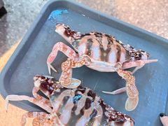 -曼格蒸汽活海鲜·榴莲自助(皇庭广场店)
