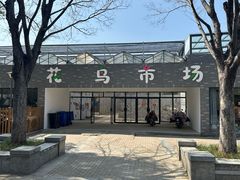 -江阴花鸟市场