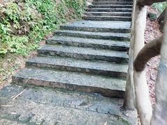 -泽雅景区