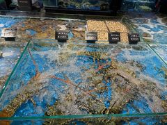 -徐记海鲜(观沙岭|滨江新城店)