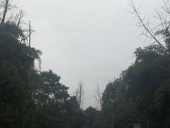 -邓小平故里