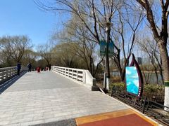 -大兴滨河森林公园