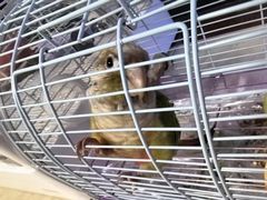 -博特宠物医院24h犬猫全科.骨科·异宠