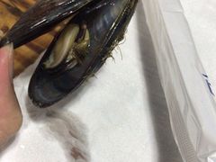 -老伯蟹脚店(朝阳路店)