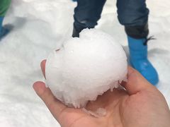 -Mr·Kuma酷么先生雪之乐园