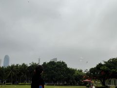 -万绿园