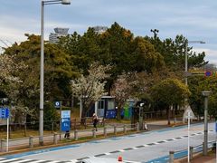 -台场海滨公园船码头