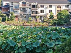 -朴墅(西湖青芝坞店·杭帮菜·家宴.14年的店)